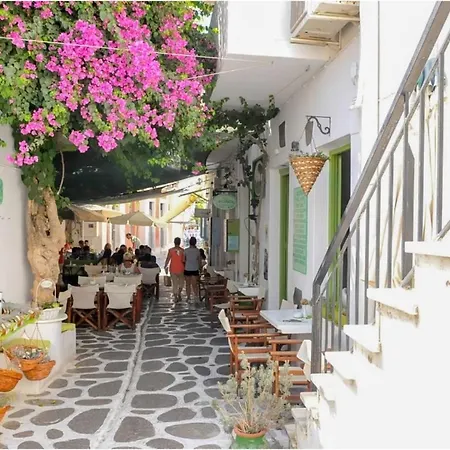 Livadia Seaside 13 Πανσιόν Πάρος